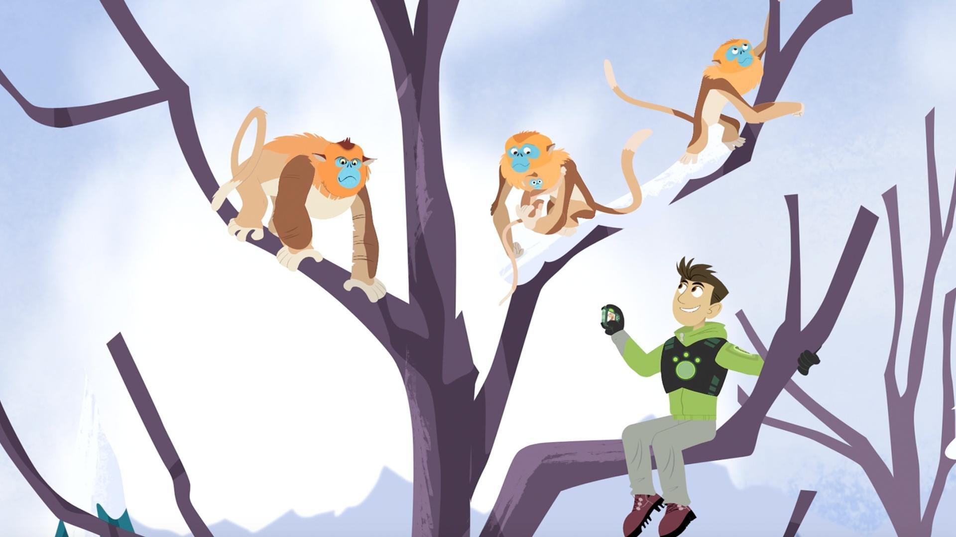 Monkeys of the Mountains! | Watch online at WTTW.com