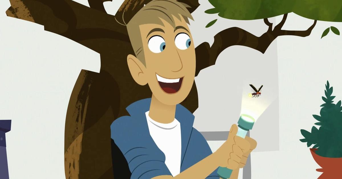 Wild Kratts Fireflies Creature Power PBS