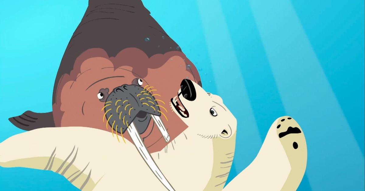 Wild Kratts | Walrus: Danger Alert | PBS