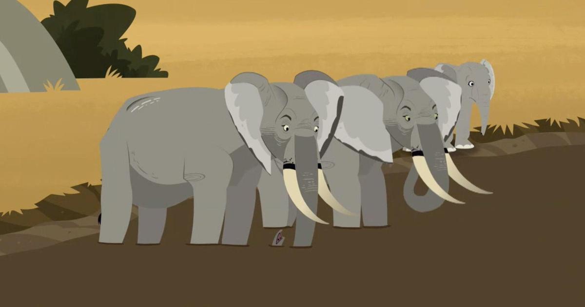 Wild Kratts | African Elephant: Livin Creature Style | PBS