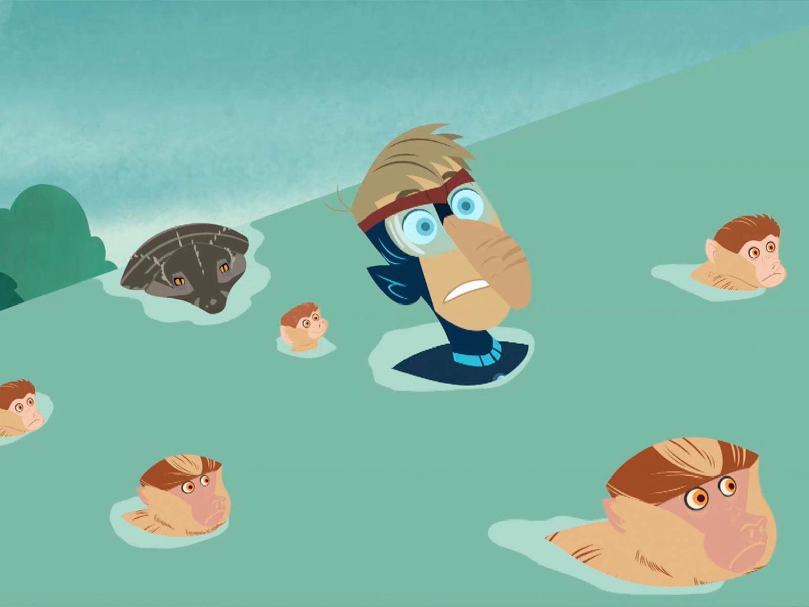 Wild Kratts - Proboscis Monkey: Danger Alert Video | PBS KIDS
