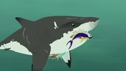Tuna: Danger Alert