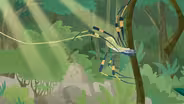 Golden Orb Weaver Spider: Creature Power