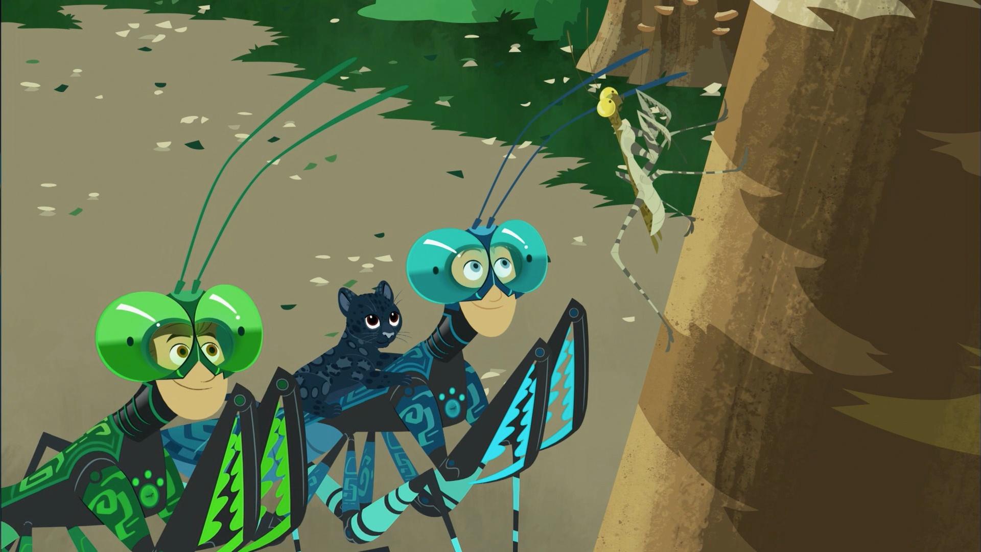 Wild Kratts Mantis | atelier-yuwa.ciao.jp