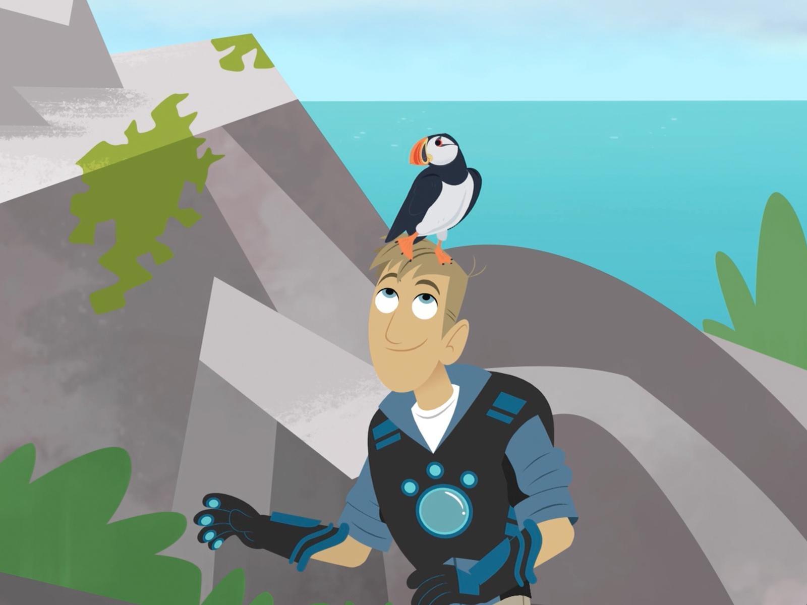 Wild Kratts - Stranded Video | PBS KIDS