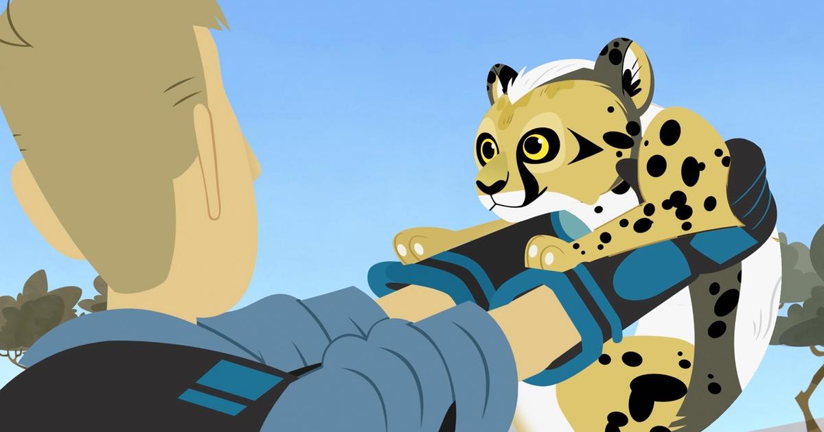 Wild Kratts | Cheetah Adopted | Season 4 | Episode 23 | KQED