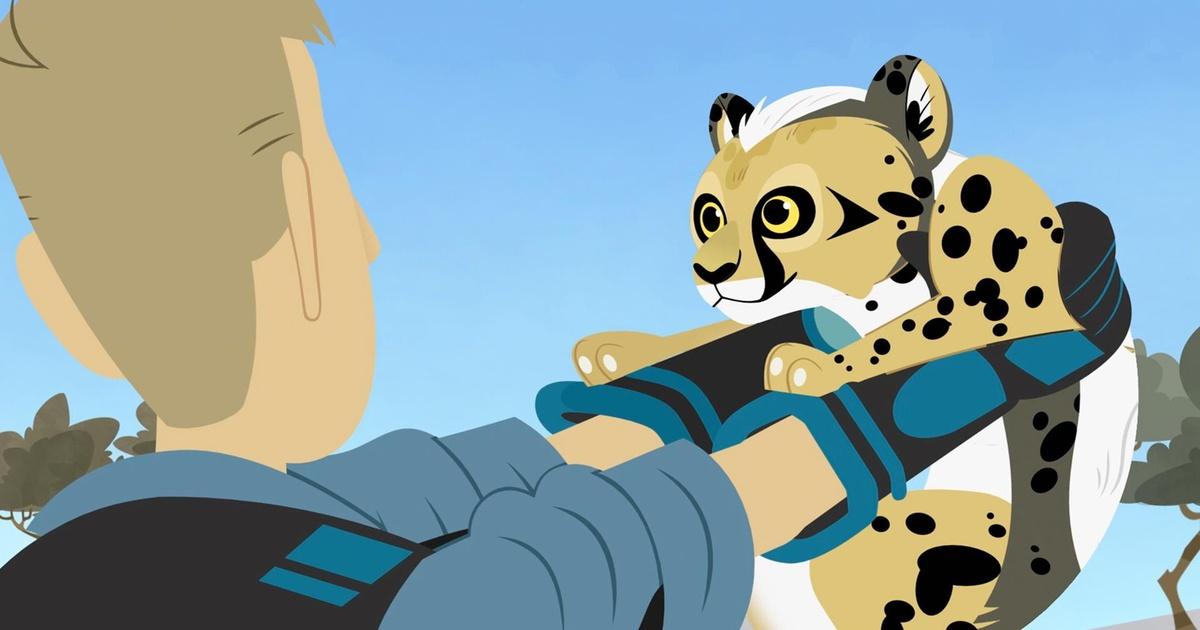 Wild Kratts | Cheetah Adopted | Season 4 | Episode 23 | PBS