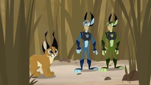 wild kratts information