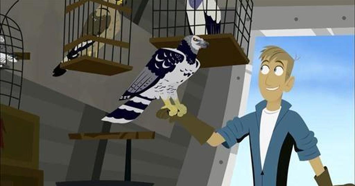 Wild Kratts No More Cages Season 1 Pbs