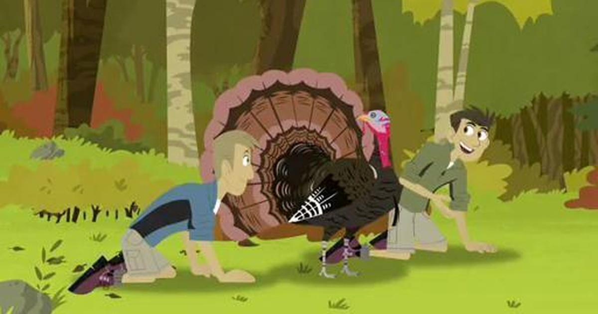 Wild Kratts | Activate Turkey Power! | Season 2 | Episode 5 | PBS