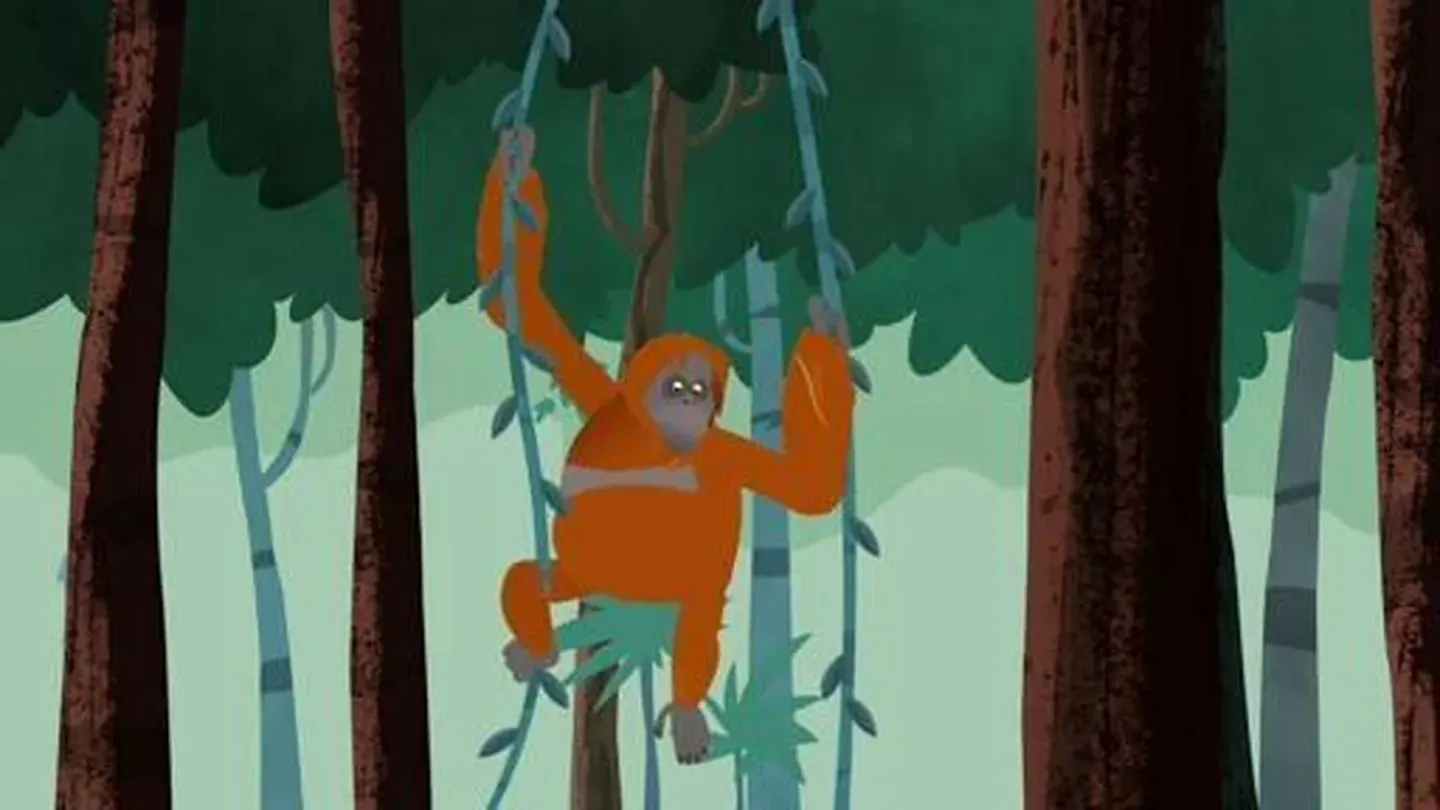 A Huge Orange Problem