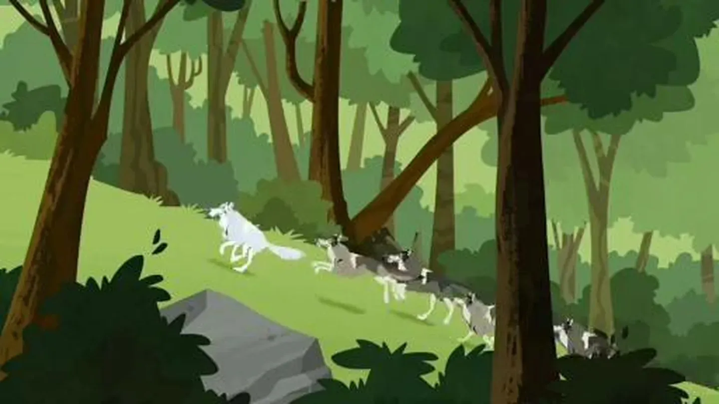 Keeping Up with the Wolf Pack