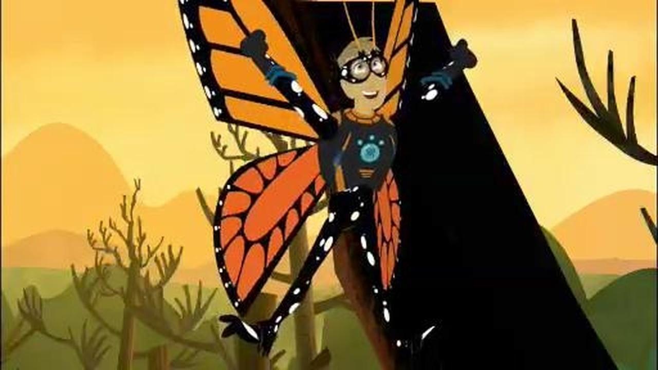 Wild Kratts PBS Voyage Of The Butterflier Wild Kratts 2018 Full