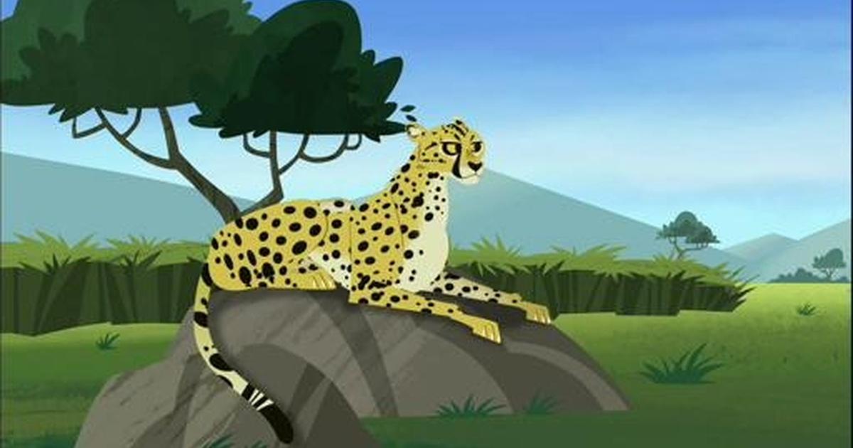 Wild Kratts | Racing the Cheetah | PBS