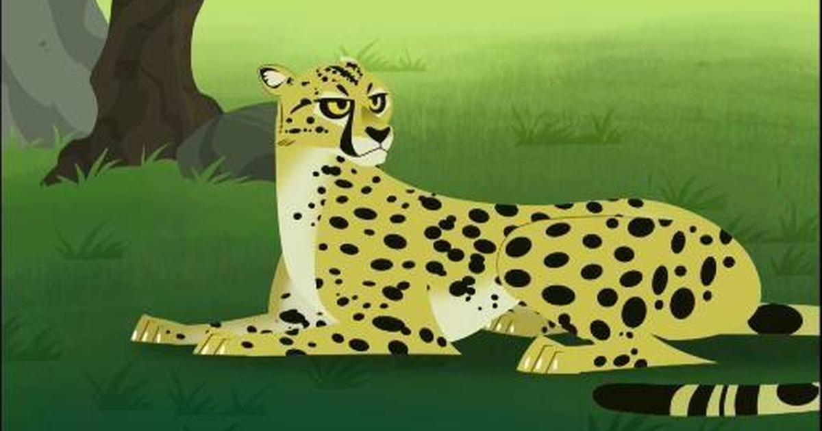 Wild Kratts Cheetah Racer | truongquoctesaigon.edu.vn