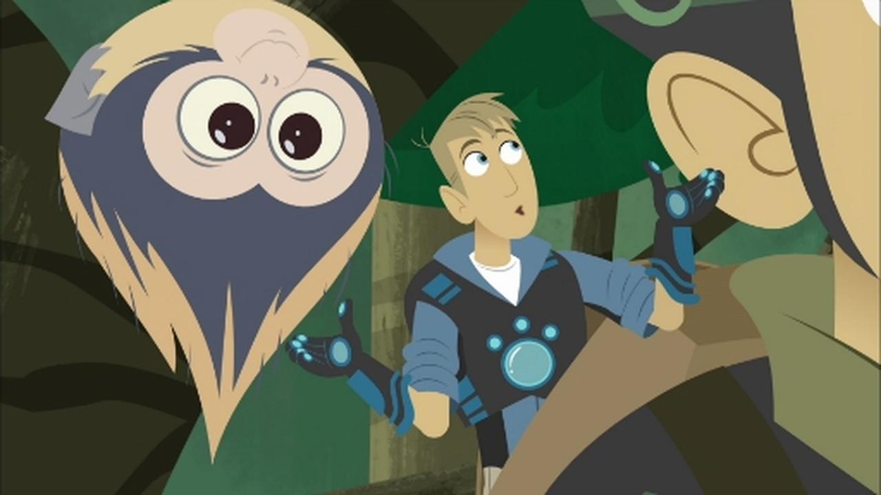 Wild Kratts Bugs Or Monkeys? 