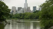 Web Exclusive: Central Park, New York, NY