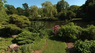 Web Exclusive: Mount Auburn Cemetery, Boston, MA