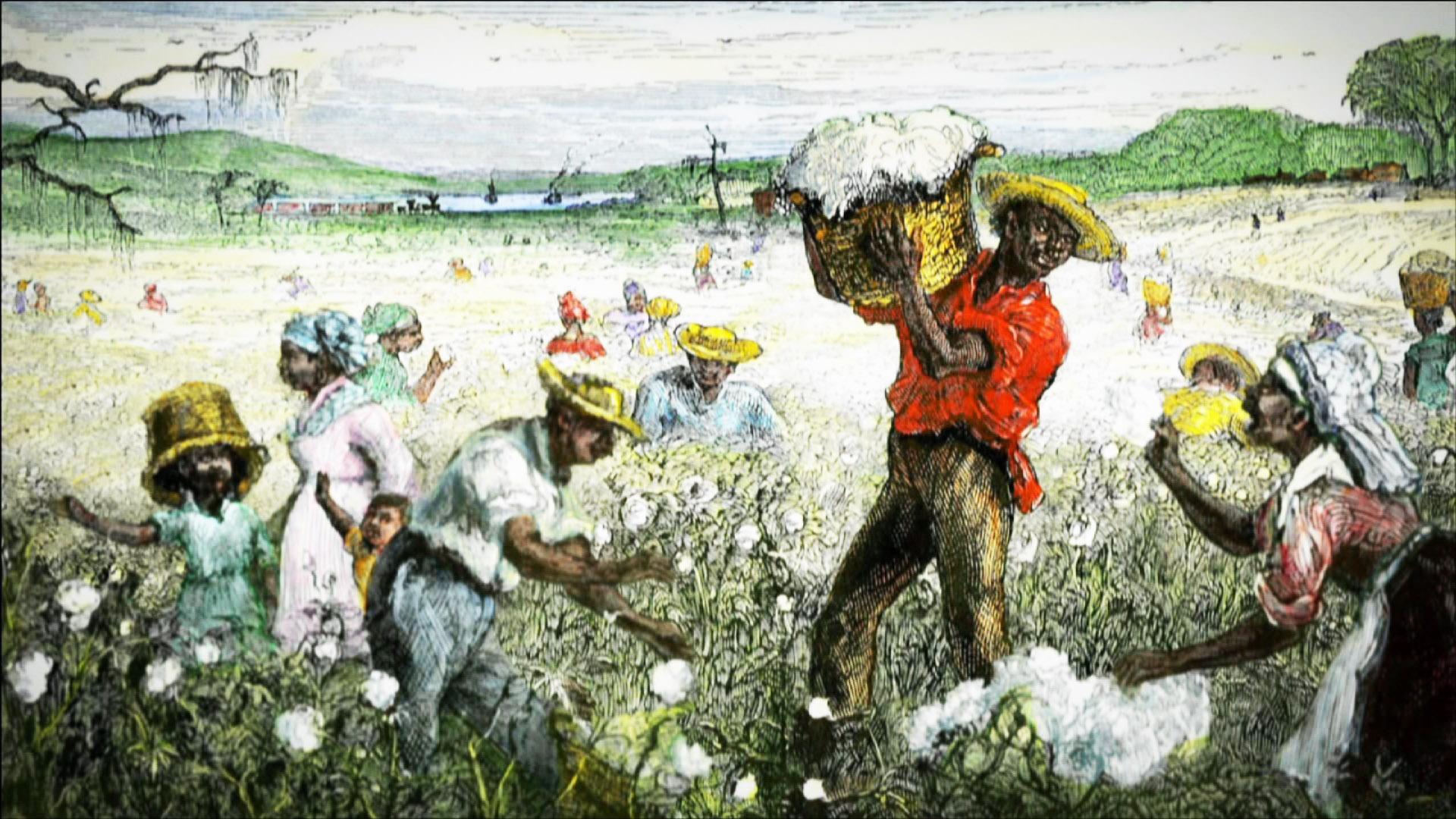 cotton plantations 1800s