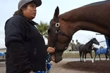 Stable Life | Promo
