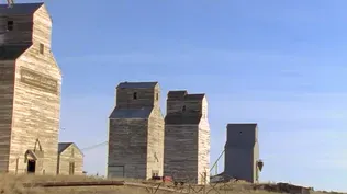 Chicago's Grain Elevators