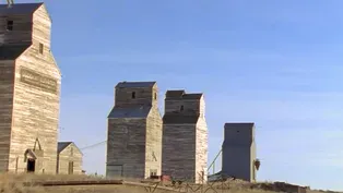 Chicago's Grain Elevators