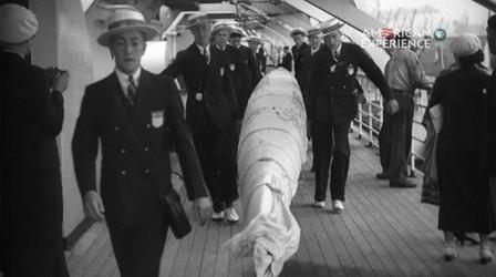 Video thumbnail: American Experience The Boys of '36: The SS Manhattan