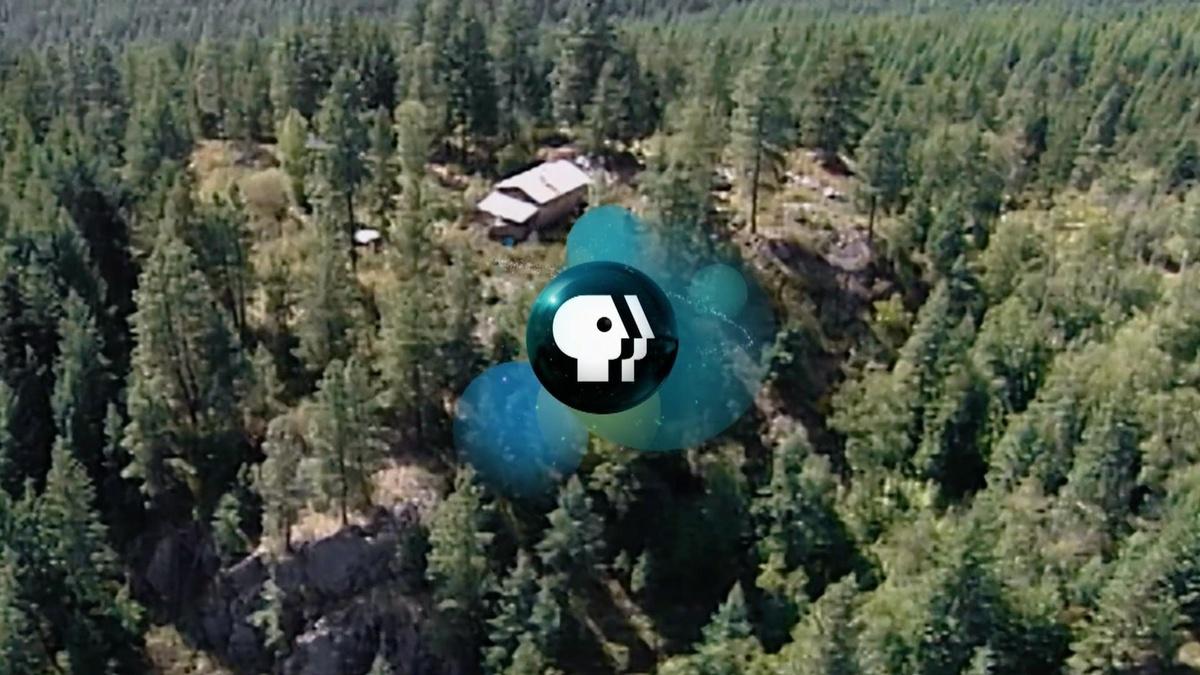 Ruby Ridge promo American Experience THIRTEEN New York Public Media