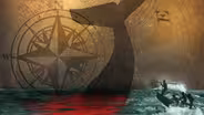 Into the Deep: Shanty - Wings of a Gull