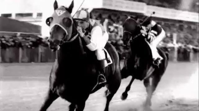 An over-worked horse and a broken-down jockey capture the nation's imagination.