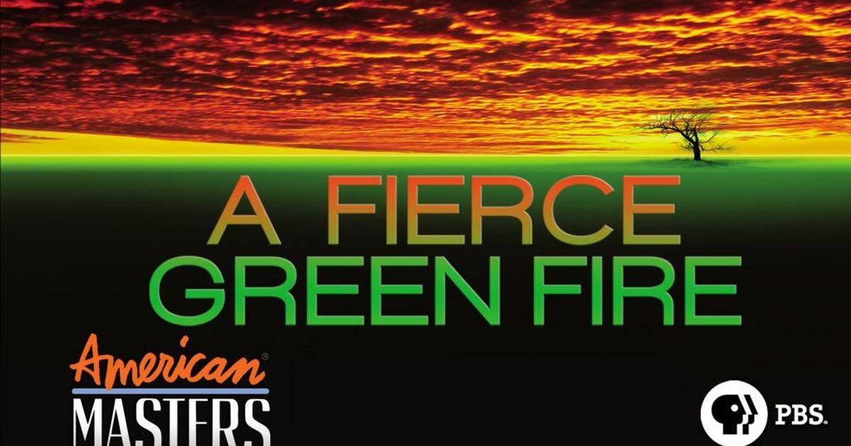 American Masters A Fierce Green Fire Season 28 PBS