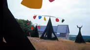 Alexander Calder: Works Photographed by Pedro E. Guerrero