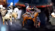Appraisal: Folk Art Carved and Painted Model Carousel