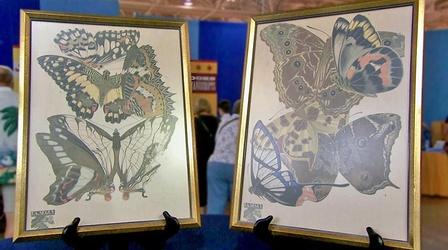 Video thumbnail: Antiques Roadshow Appraisal: Seguy Butterfly Prints, ca. 1928