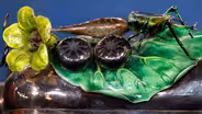 Appraisal: Late 19th C. Chinese Enamel & Silver Box
