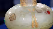 Appraisal: Daum Mounumental Vase, ca. 1900