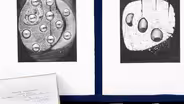 Appraisal: 1964 Agustín Fernández Etching Portfolio