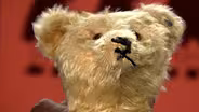 Appraisal: Steiff Bear, ca. 1910