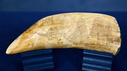 Video thumbnail: Antiques Roadshow Appraisal: Scrimshaw Whale Tooth, ca. 1840