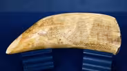 Appraisal: Scrimshaw Whale Tooth, ca. 1840