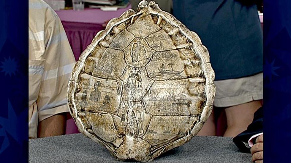 S18 Ep30: Appraisal: Carved Turtle Shell image