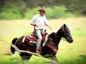 Field Trip: Antique Mexican Parade Saddles