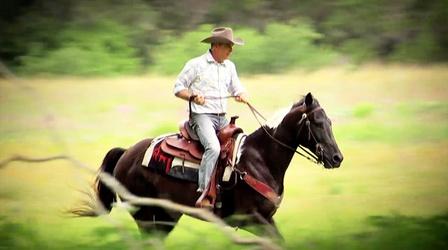 Video thumbnail: Antiques Roadshow Field Trip: Antique Mexican Parade Saddles