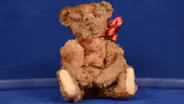 Appraisal: Steiff Teddy Bear, ca. 1905