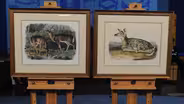 Appraisal: Audubon Quadrupeds Prints, ca. 1845