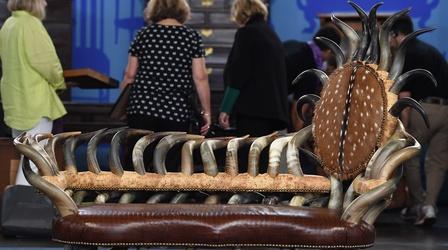 Video thumbnail: Antiques Roadshow Appraisal: Cow Horn Settee, ca. 1990