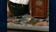 Appraisal: Hair Comb Collection & Box