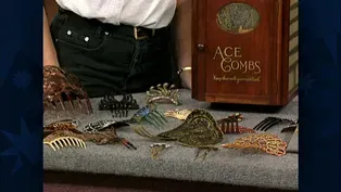 Appraisal: Hair Comb Collection & Box