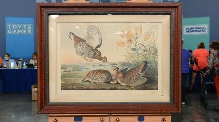 Video thumbnail: Antiques Roadshow Appraisal: 1860 J. J. Audubon Chromolithograph