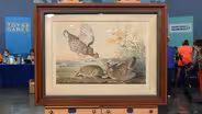 Appraisal: 1860 J. J. Audubon Chromolithograph